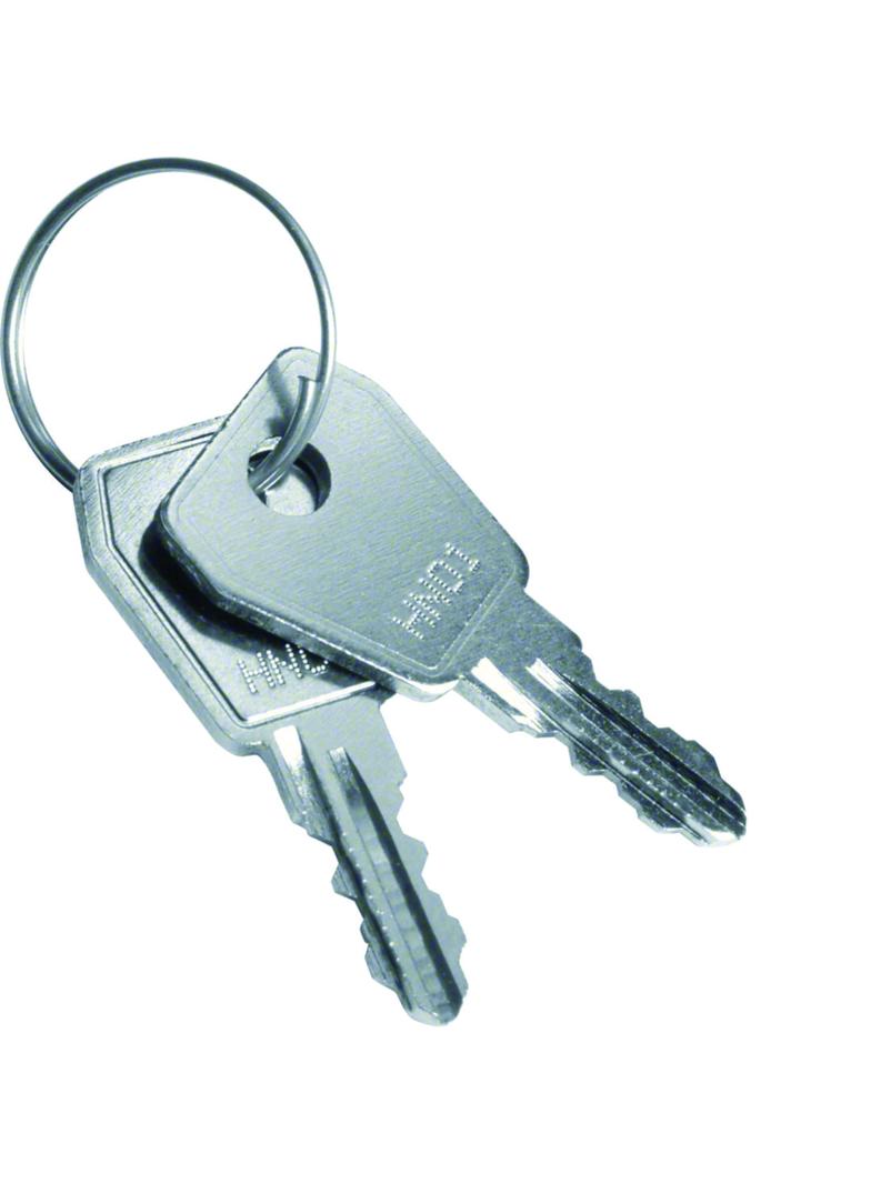 volta Klucz zapasowy dla VZ302N standard VZ304N HAGER