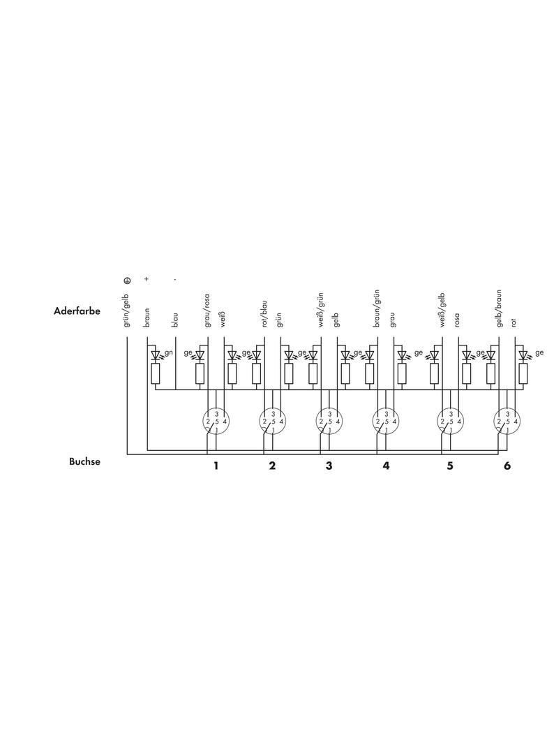 moduł przyłączeniowy 6-torowy/5-biegunowy z przewodem 5m