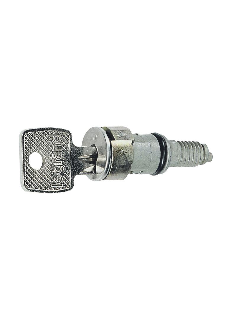 BĘBENEK ZAMKA + 2 KLUCZE NR 3113A, Legrand