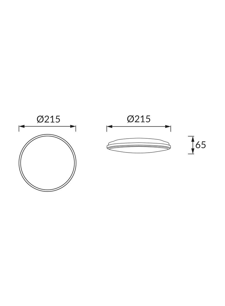 Ideus plafon zewnętrzny LED Planar 12W 1320lm 4000K srebrny O21,5cm IP54 03838 IDEUS