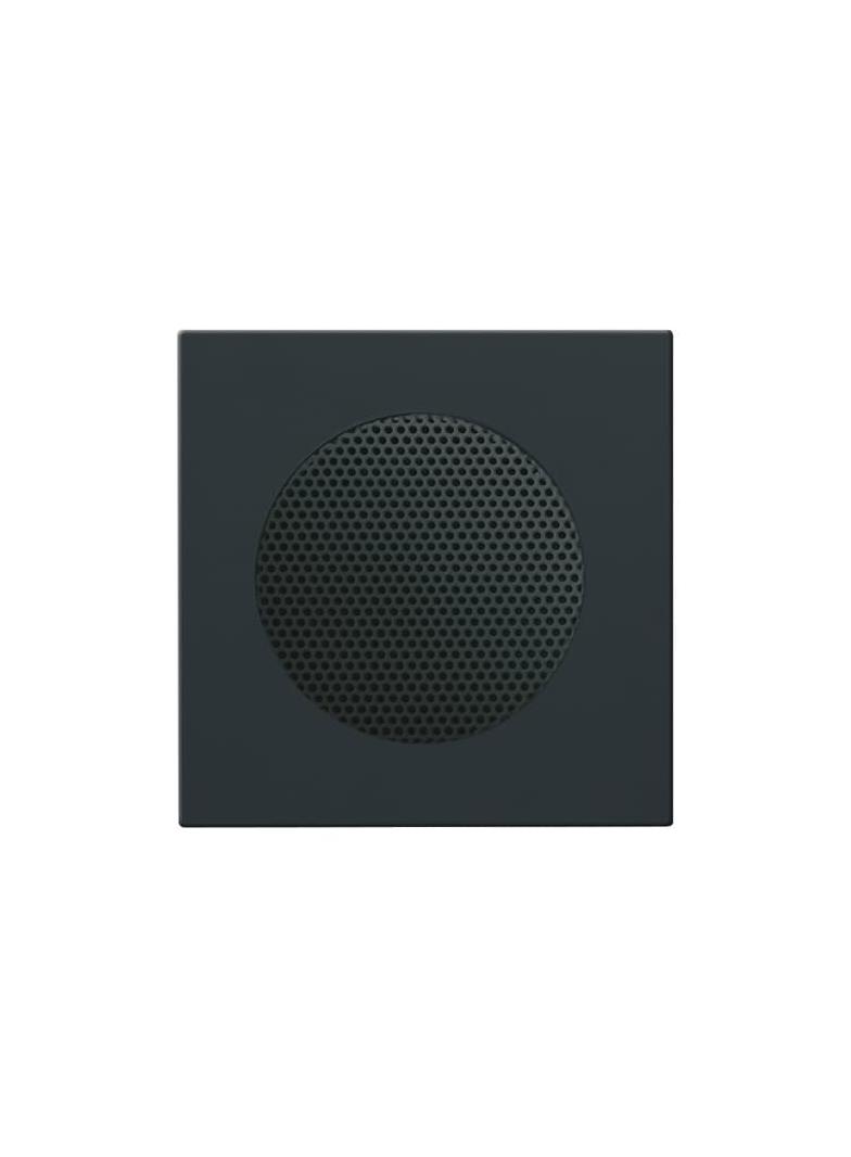 CARAT/FUTURE Pokrywa Do wkładki głośnikowej 8223 U antracyt 2CKA008200A0078 ABB