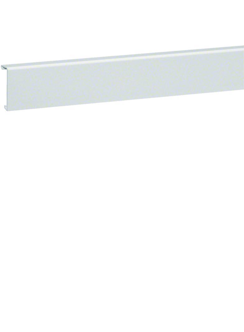 tehalit.SL Pokrywa 20x55 biały SL2005529016 HAGER