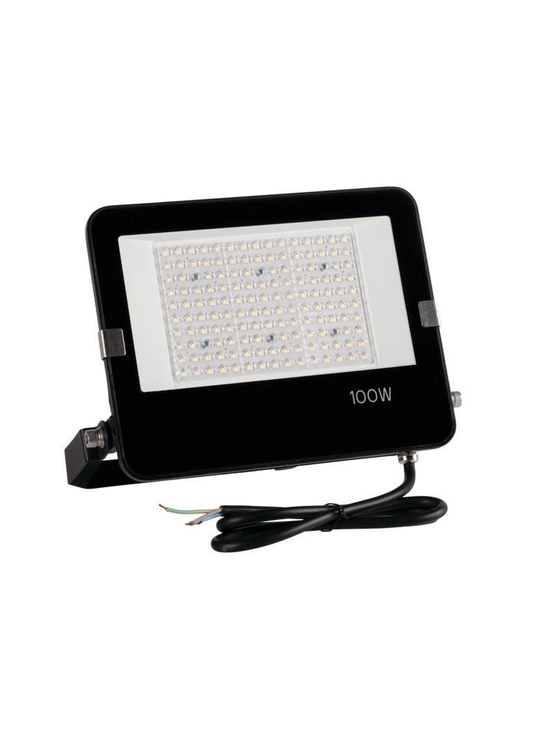 FL AGOR/A PRO 100W NW