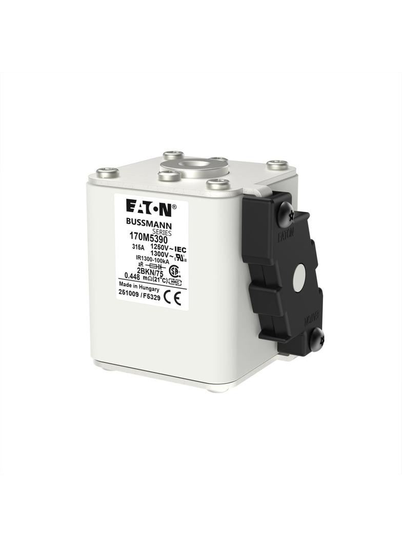 FUSE 315A 1250V 2BKN/75 AR CU Wkładka szybka 315A AC 1250V rozmiar 2 61x75x77 mm aR IEC UL 170M5390