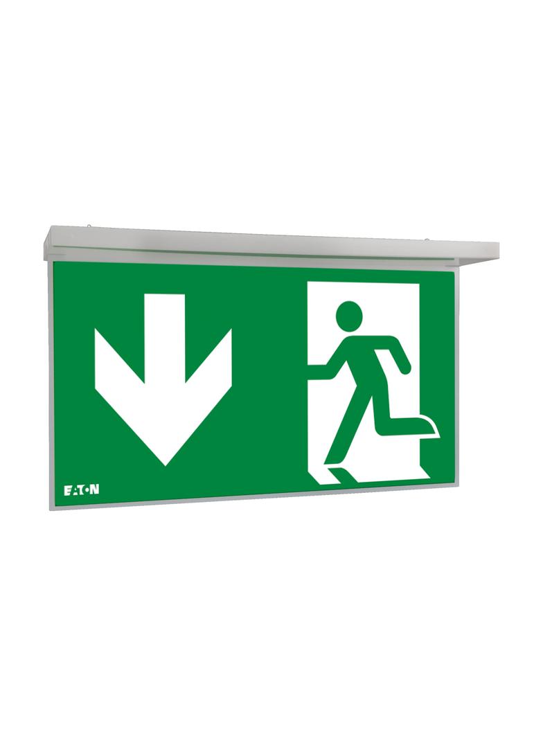 NexiTech LED opal szyba strzałka w dół / strzałka w dół 30m ISO7010 NEXI-PLEXO-DD EATON