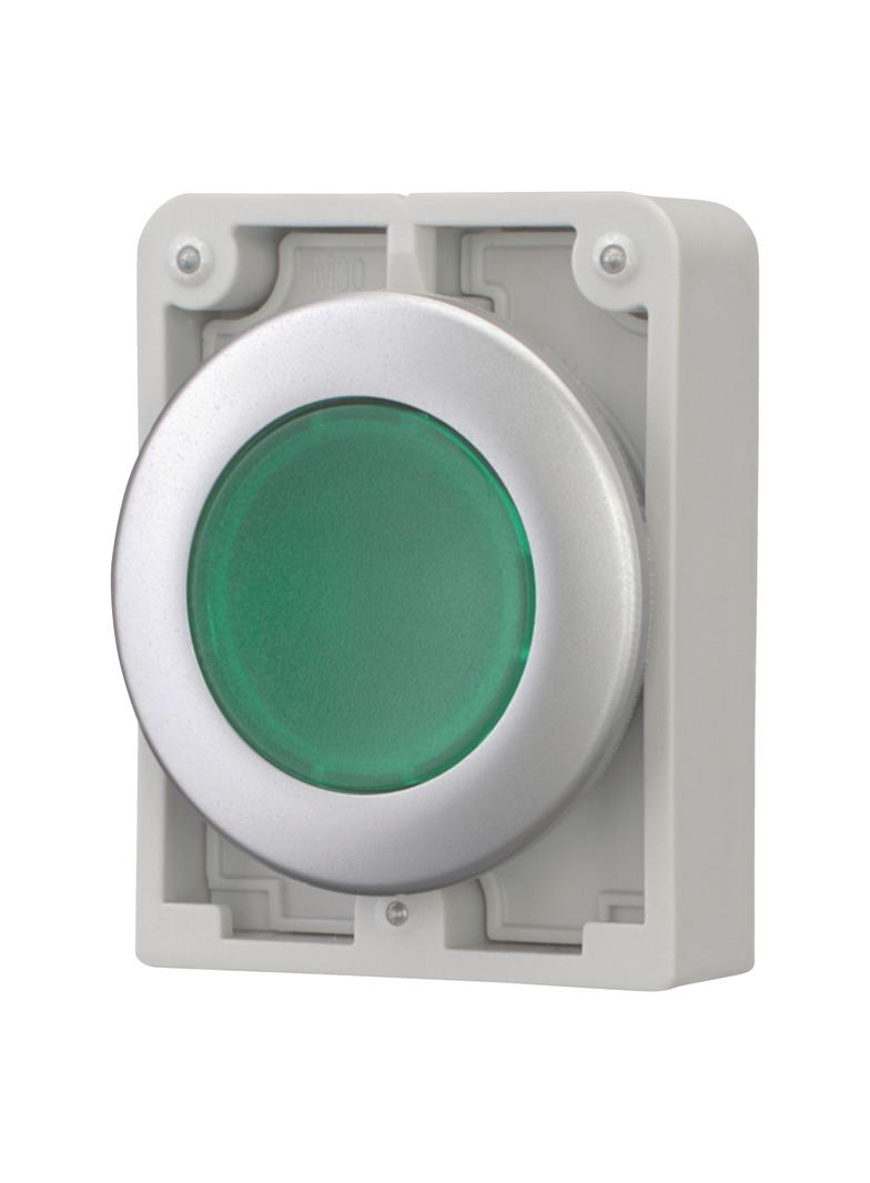 M30C-FDRL-G Przycisk podświetlany 30mm płaski bez samopowrotu zielony 182952 EATON