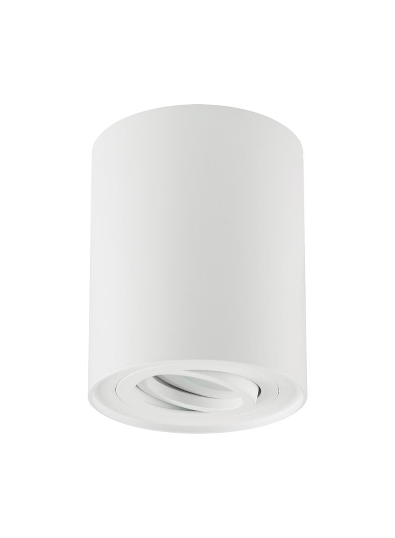 Oprawa sufitowa HARY C GU10 WHITE