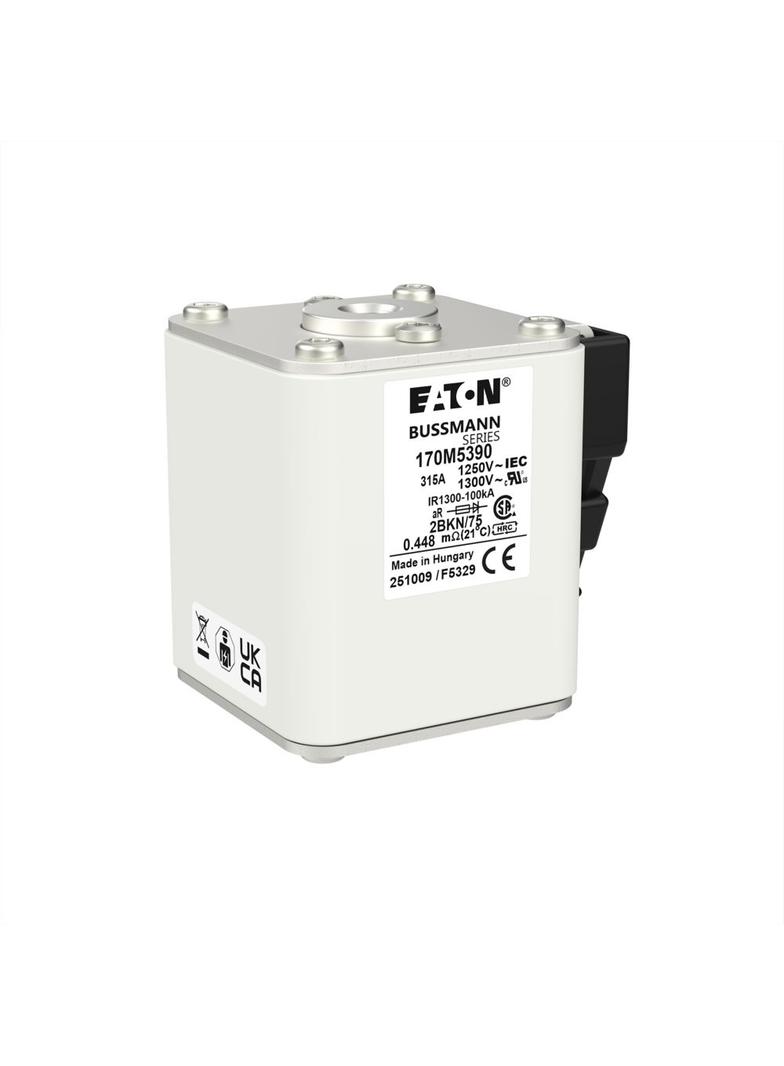 FUSE 315A 1250V 2BKN/75 AR CU Wkładka szybka 315A AC 1250V rozmiar 2 61x75x77 mm aR IEC UL 170M5390