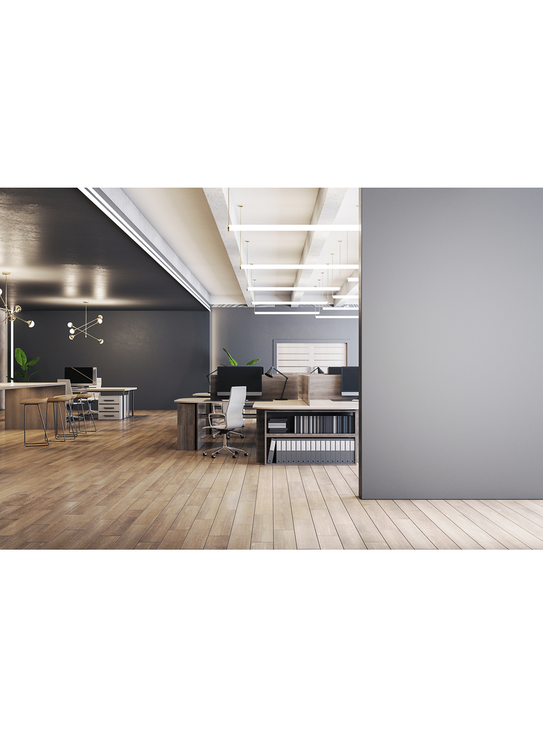 MAS LEDtube 900mm HO 12W 865 T8 Świetlówka LED