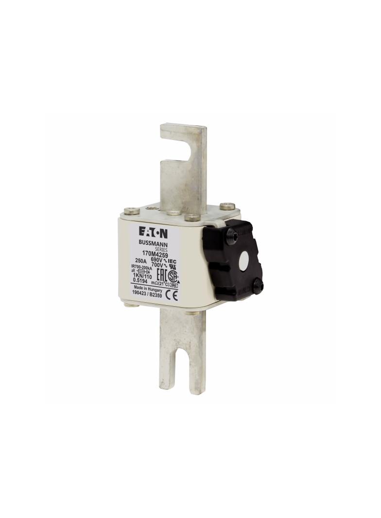 250A 690V 1KN/110 aR INDICATOR FUSE Wkładka szybka 250A AC 690V DIN 1 53x69x138 mm aR DI 170M4259 EA