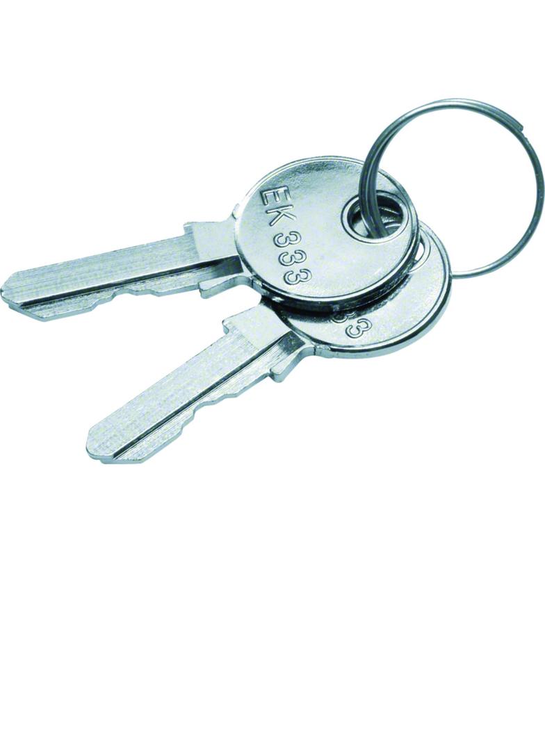 univers Klucz zapasowy do zamków FZ531N+FZ533N 1333 IP44/IP54 FZ539 HAGER