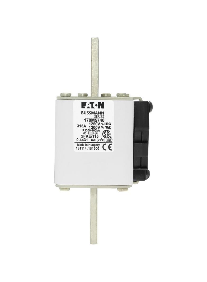 FUSE 315A 1250V 2FKE/115 AR CU Wkładka szybka 315A AC 1250V rozmiar 2 61x77x160 mm aR IEC, 170M5740