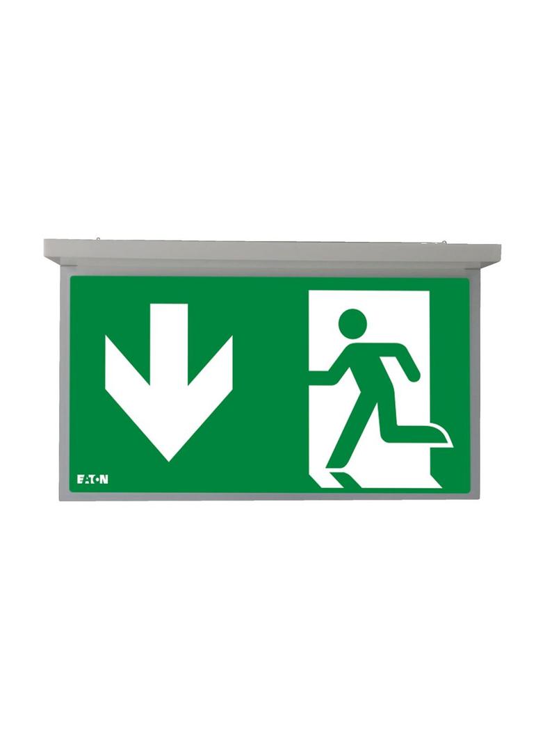 NexiTech LED opal szyba strzałka w dół / strzałka w dół 30m ISO7010 NEXI-PLEXO-DD EATON