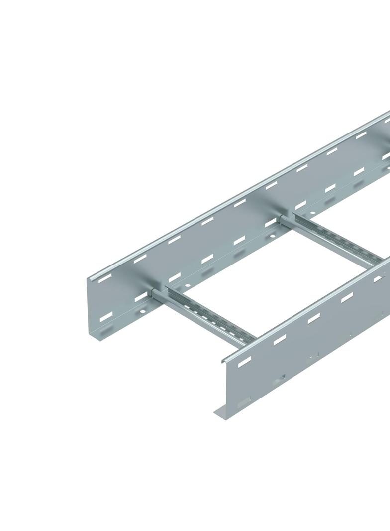 DRABINKA LG 110X300 FS