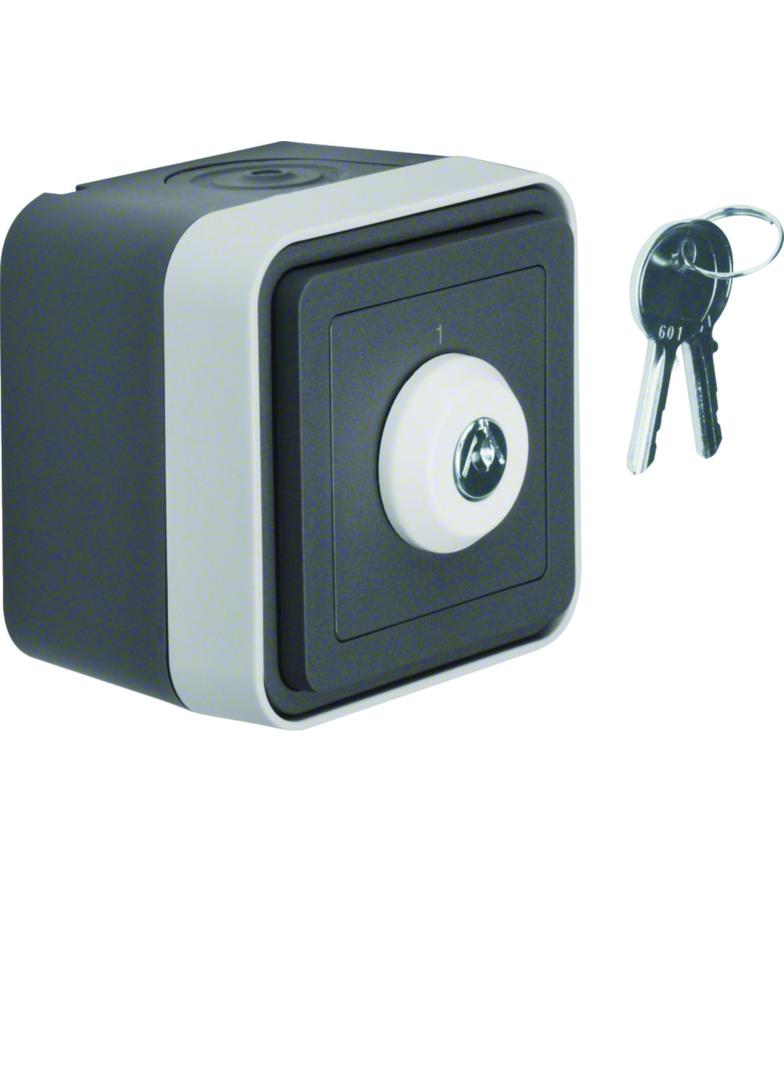 BERKER W.1 Łącznik na klucz z zamkiem klucz w 2 pozycjach kompletny IP55 szary 32713505 HAGER