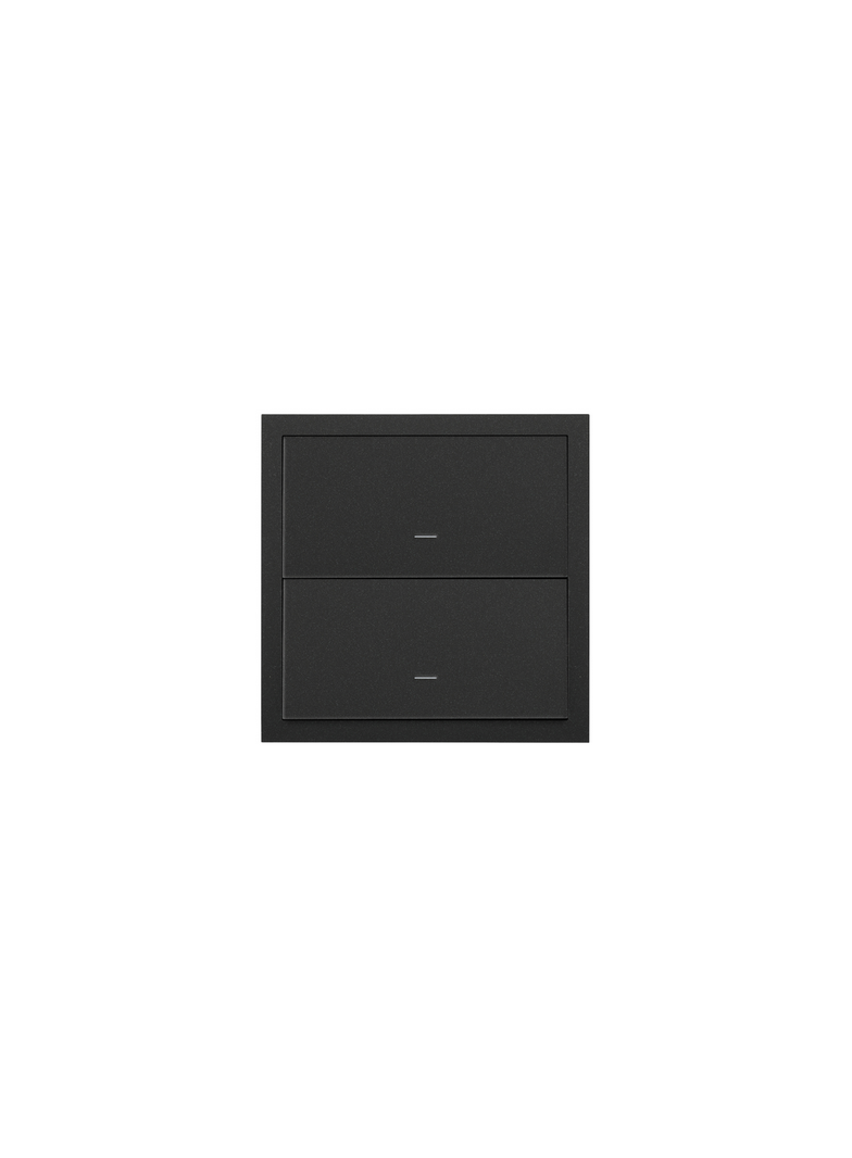 Simon 100 Panel 1-krotny: 2 klawisze czarny mat 10020103-238 KONTAKT