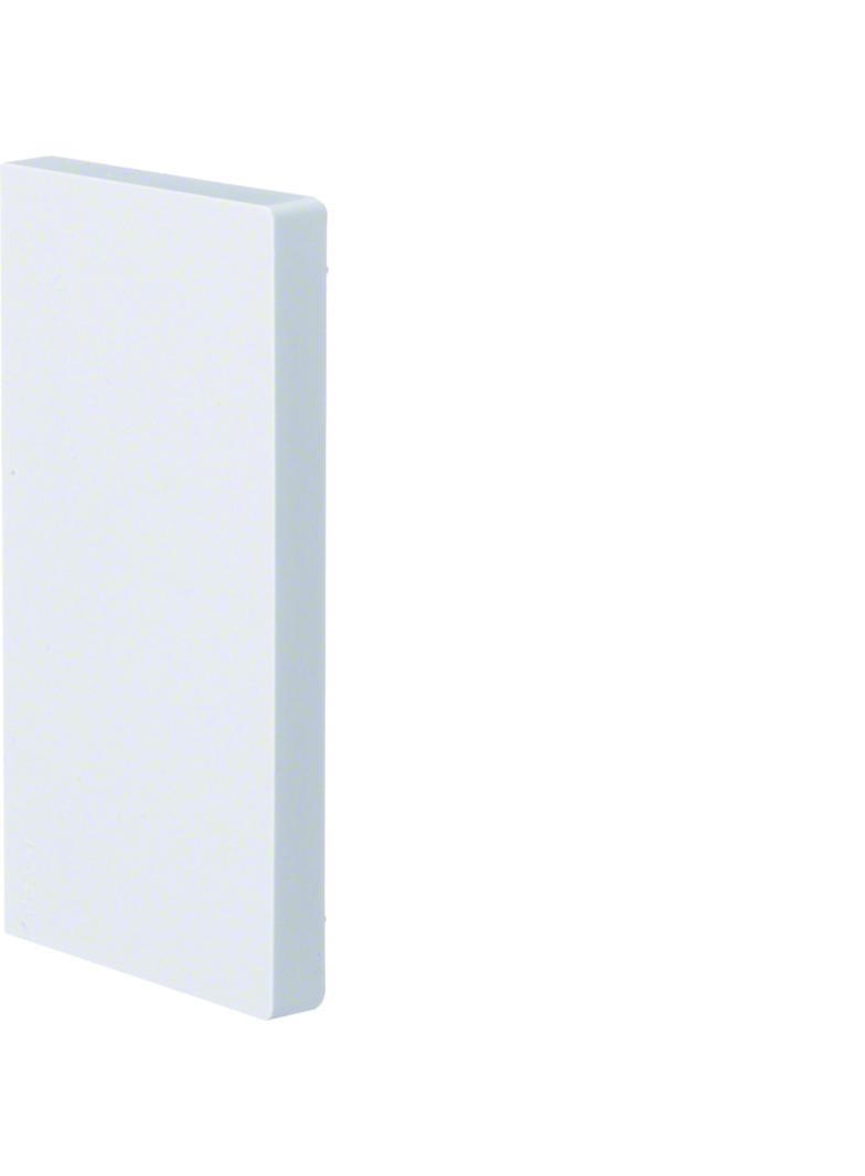 tehalit.BRP Końcówka 65x130 biały BRP6513069016 HAGER