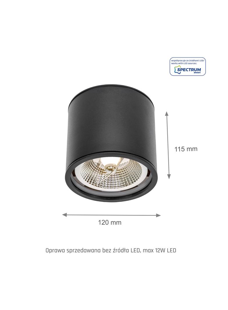 CHLOE AR111 GU10 IP65 okrągła czarna nieruchoma