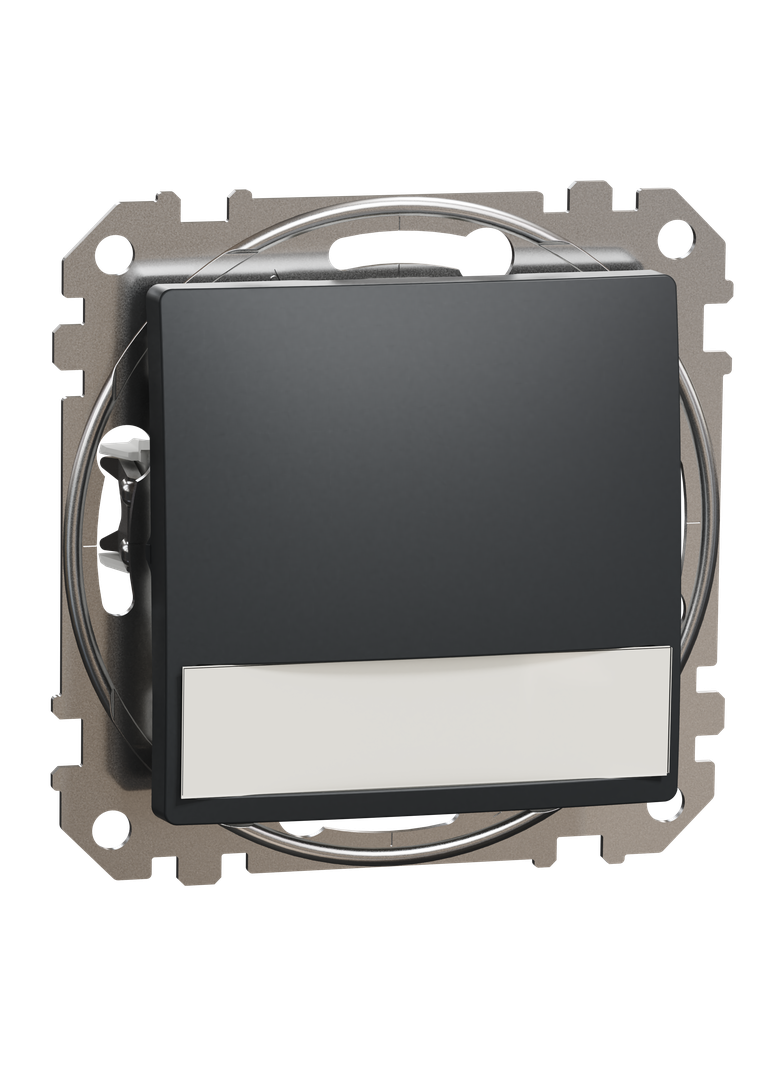 Sedna Design & Elements, przycisk z etykietą i podświetleniem (12V Ac), czarny antracyt