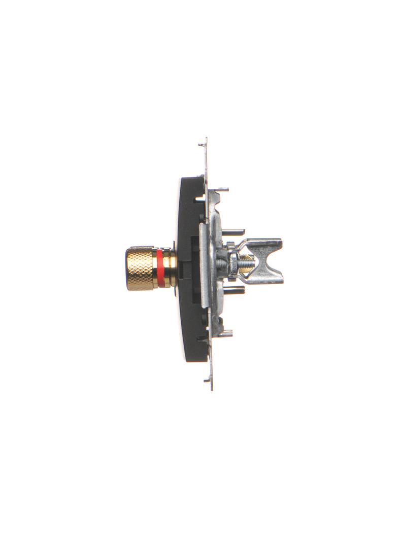 Simon 54 Gniazdo głośnikowe pojedyncze Przekrój przewodów dla wyjścia do 6 mm2 czarny