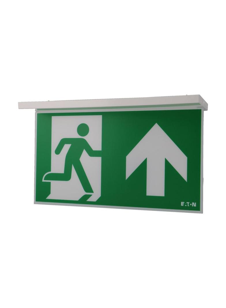 NexiTech LED szyba strzałka do góry / strzałka do góry 30m ISO7010 NEXI-PLEX-UU EATON