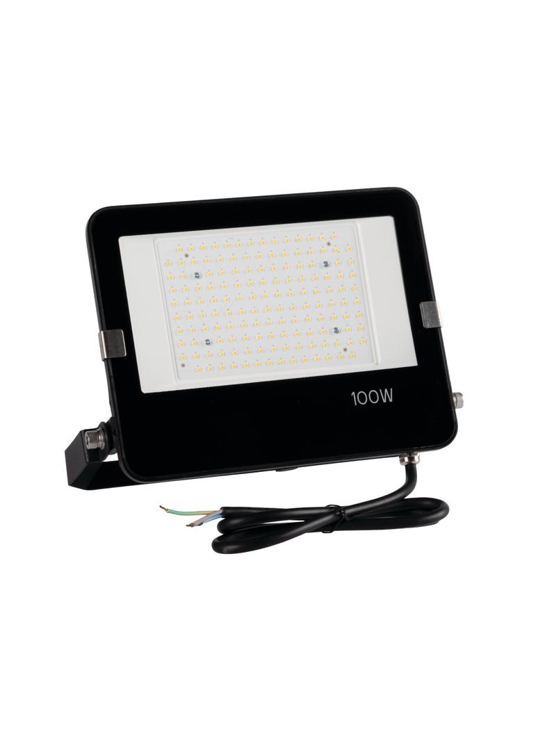 FL AGOR PRO 100W NW
