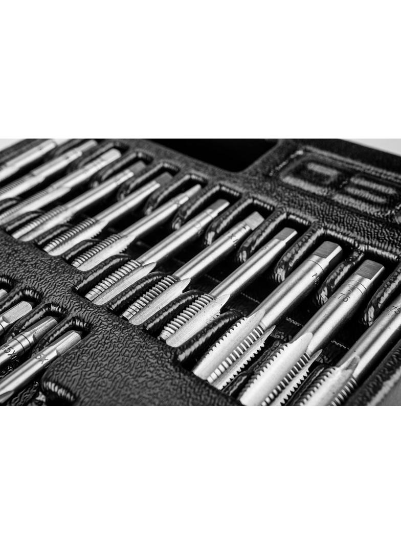 Narzynki i gwintowniki, zestaw 31 szt., wkładka