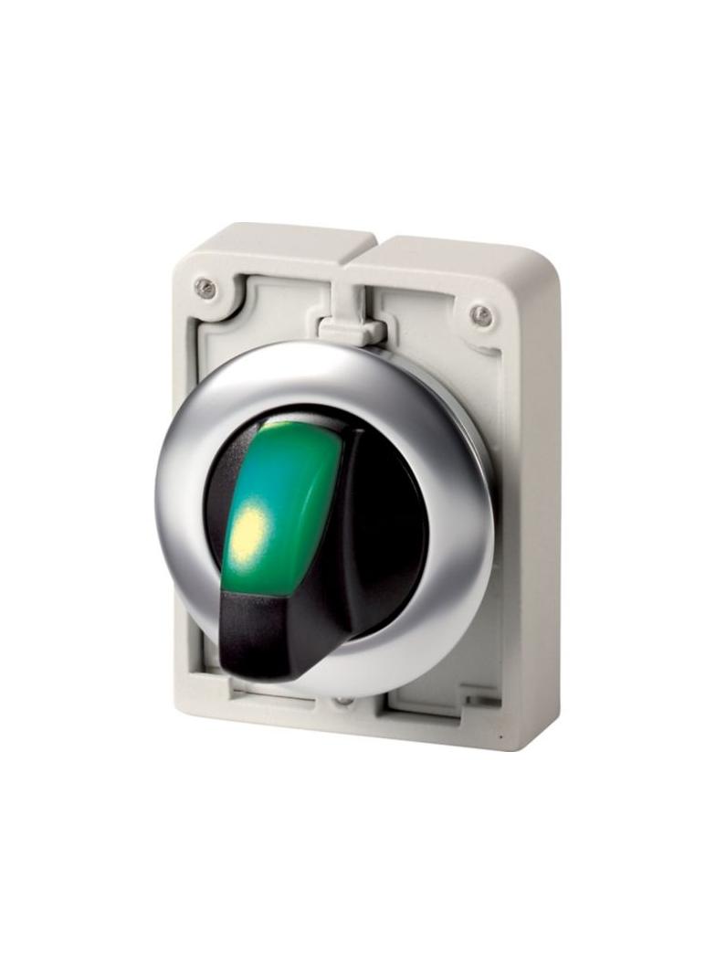 M30I-FWRLK-G Przełącznik piórkowy podświetlany 30mm zielony 2-pozycyjny bez samopowrotu stal nierdze