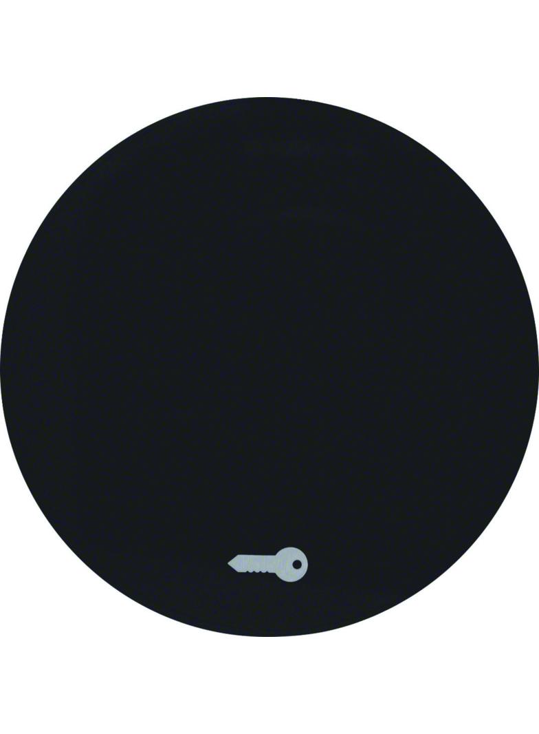 BERKER R.1/R.3 Klawisz nadrukowany symbol klucz do łącznika klaw. pojedyncza czarny 16202015 HAGER