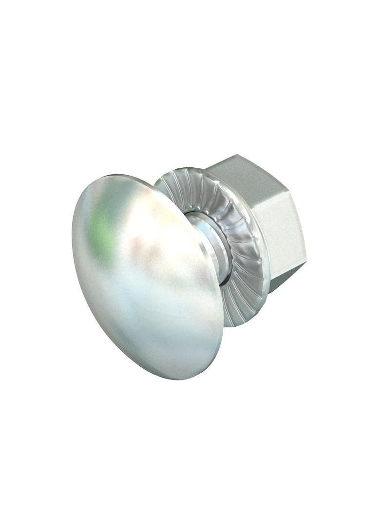 FRSB 6x20 VA4401, Śruba z łbem grzybkowym