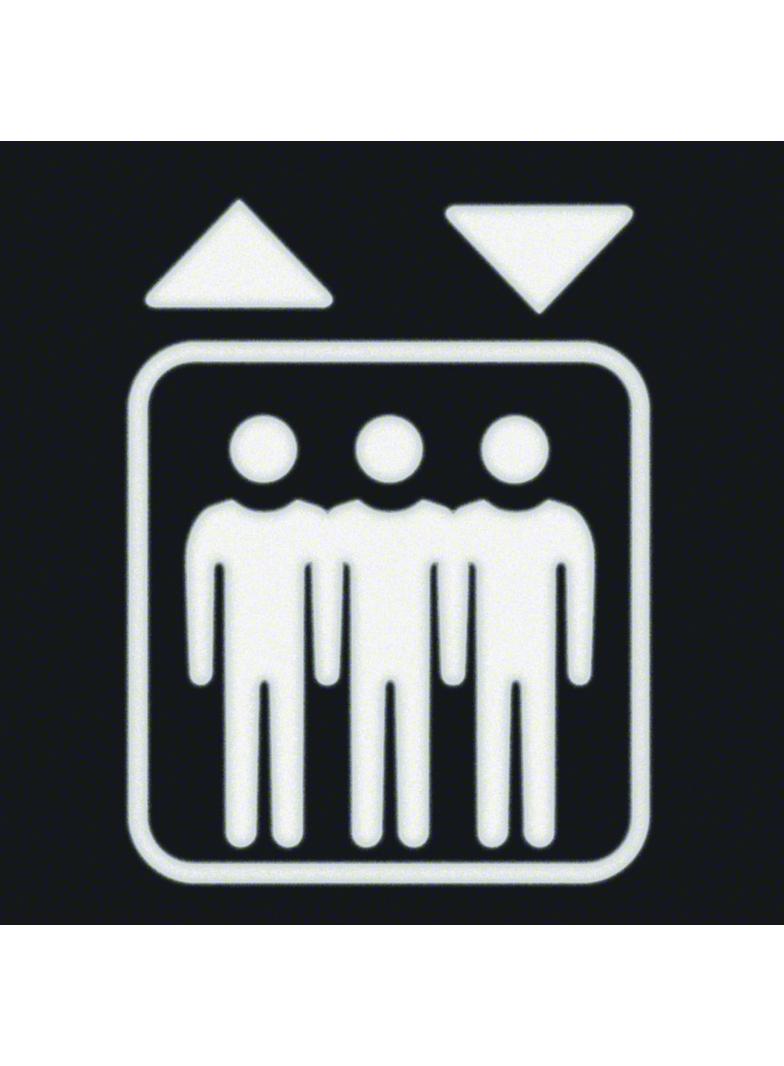 BERKER W.1 Folia do sygnalizatora świetlnego symbol winda 19058005 HAGER