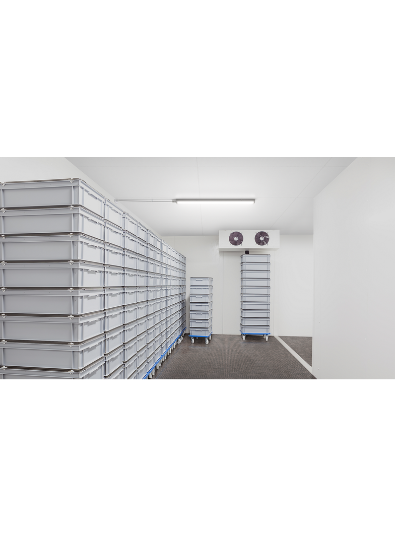 Oprawa hermetyczna Ledinaire WT060C 30W 3600lm 4000K LED36S/840 PSU TW1 L1200 BN 5 lat gw 9,11402E+11 PHILIPS