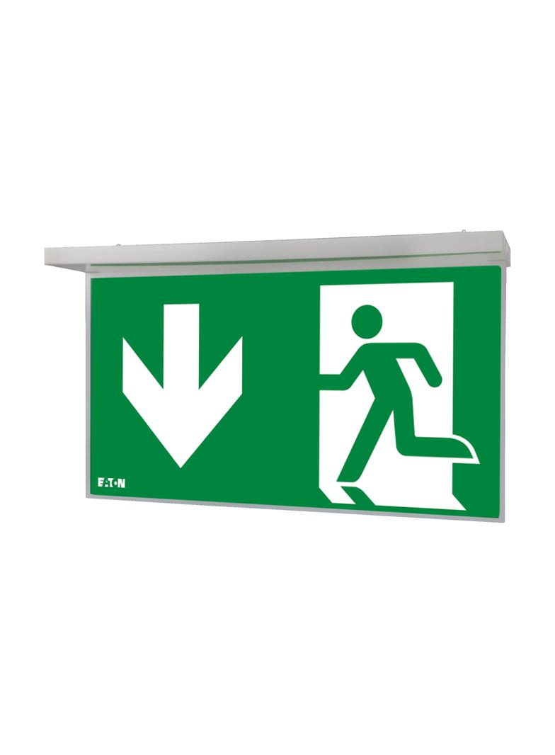 NexiTech LED opal szyba strzałka w dół / strzałka w dół 30m ISO7010 NEXI-PLEXO-DD EATON