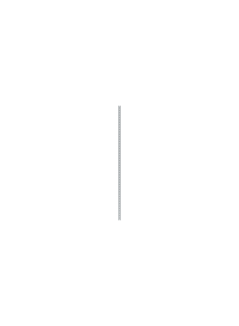 ZW213P10 Profil pionowy ramy WR H8 (1opak=10szt)