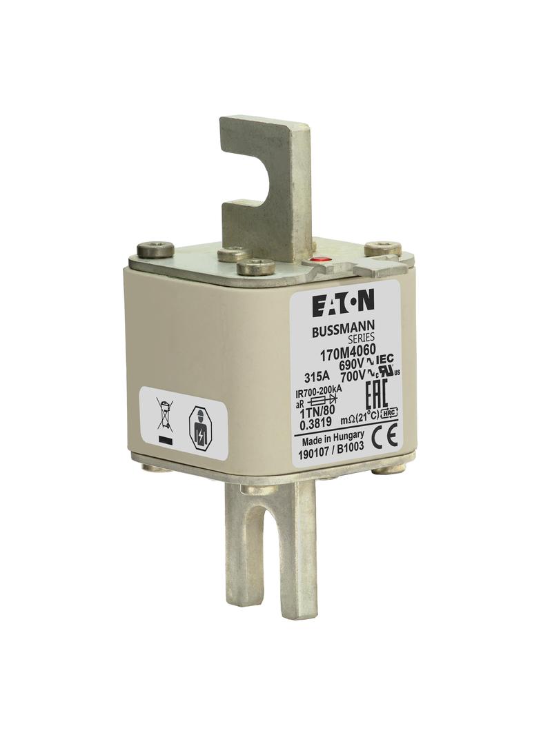 315A 690V 1TN/80 aR INDICATOR FUSE Wkładka szybka 315A AC 690V DIN 1 53x66x108 mm aR DIN 170M4060 EA