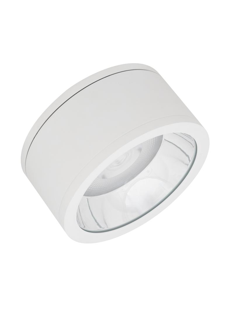 Oprawa DOWNLIGHT SURFACE DN 250 P 45W 830 60D IP65 WT