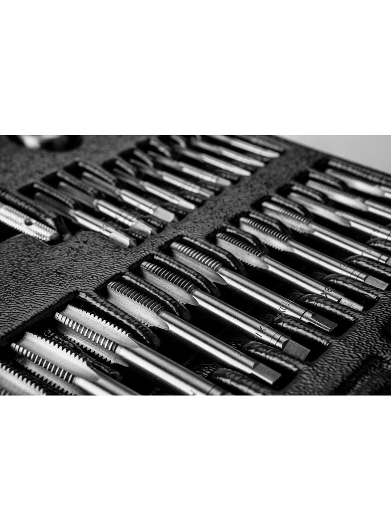 Narzynki i gwintowniki, zestaw 31 szt., wkładka