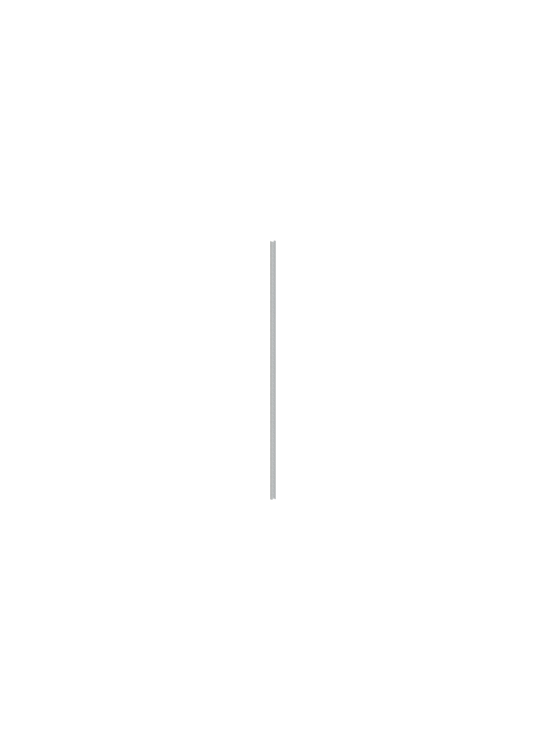 ZW214P10 Profil pionowy ramy WR OH10 (1opak=10szt)