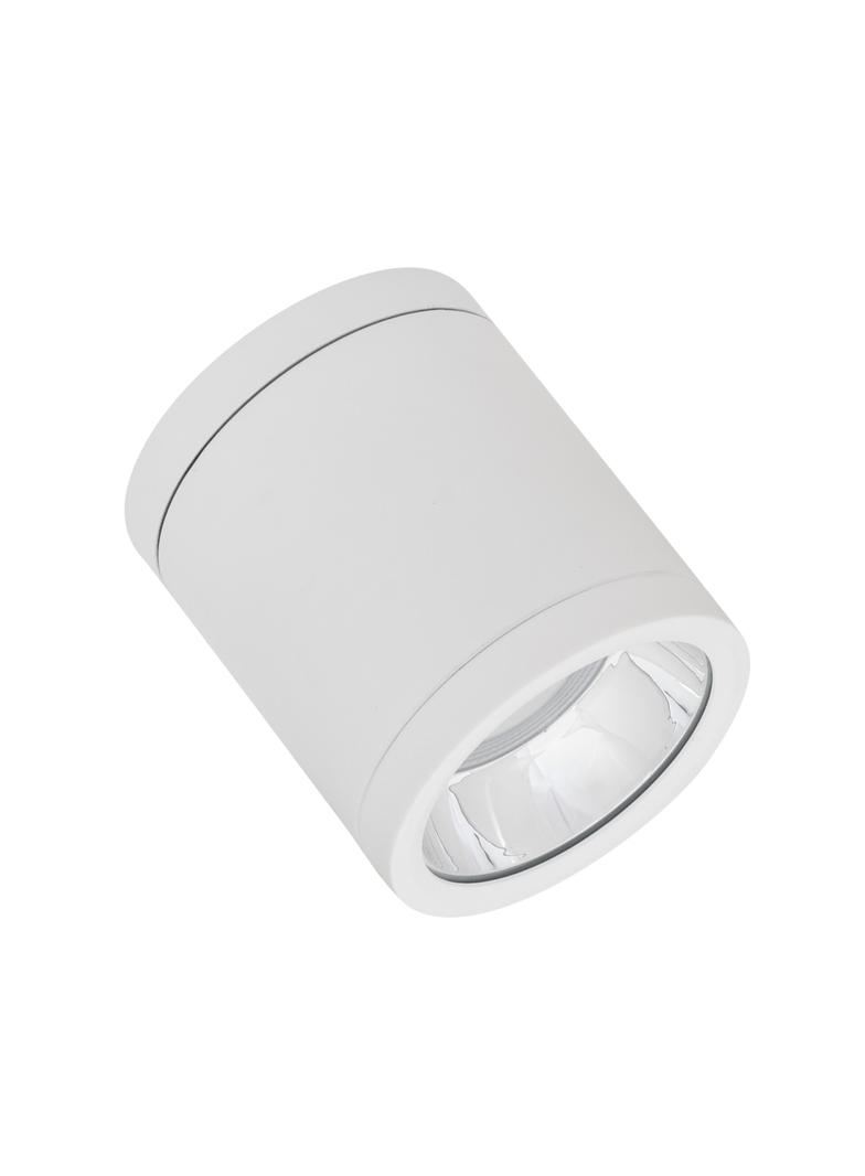 Oprawa DOWNLIGHT SURFACE DN 90 P 15W 840 60D IP65 WT