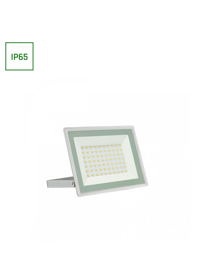 Naświetlacz NOCTIS LUX 3 50W NW 230V IP65 biały