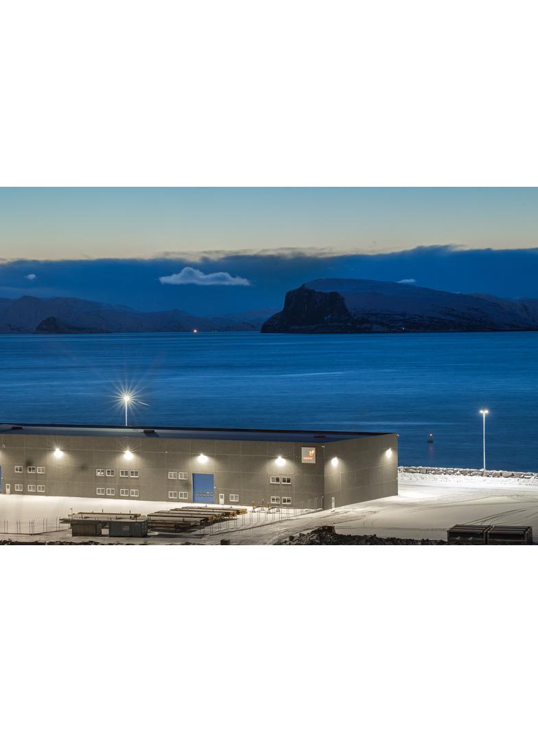 Naświetlacz FLOOD MAX LUM 900W 757 ASYM 50x110 WAL