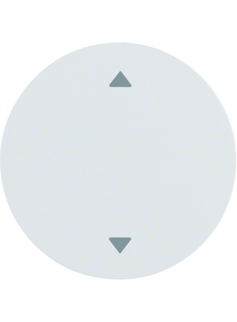 BERKER R.1/R.3 Klawisz nadrukowany symbol strzałki biały 16202049 HAGER