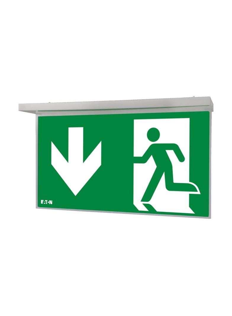 NexiTech LED opal szyba strzałka w dół / strzałka w dół 30m ISO7010 NEXI-PLEXO-DD EATON