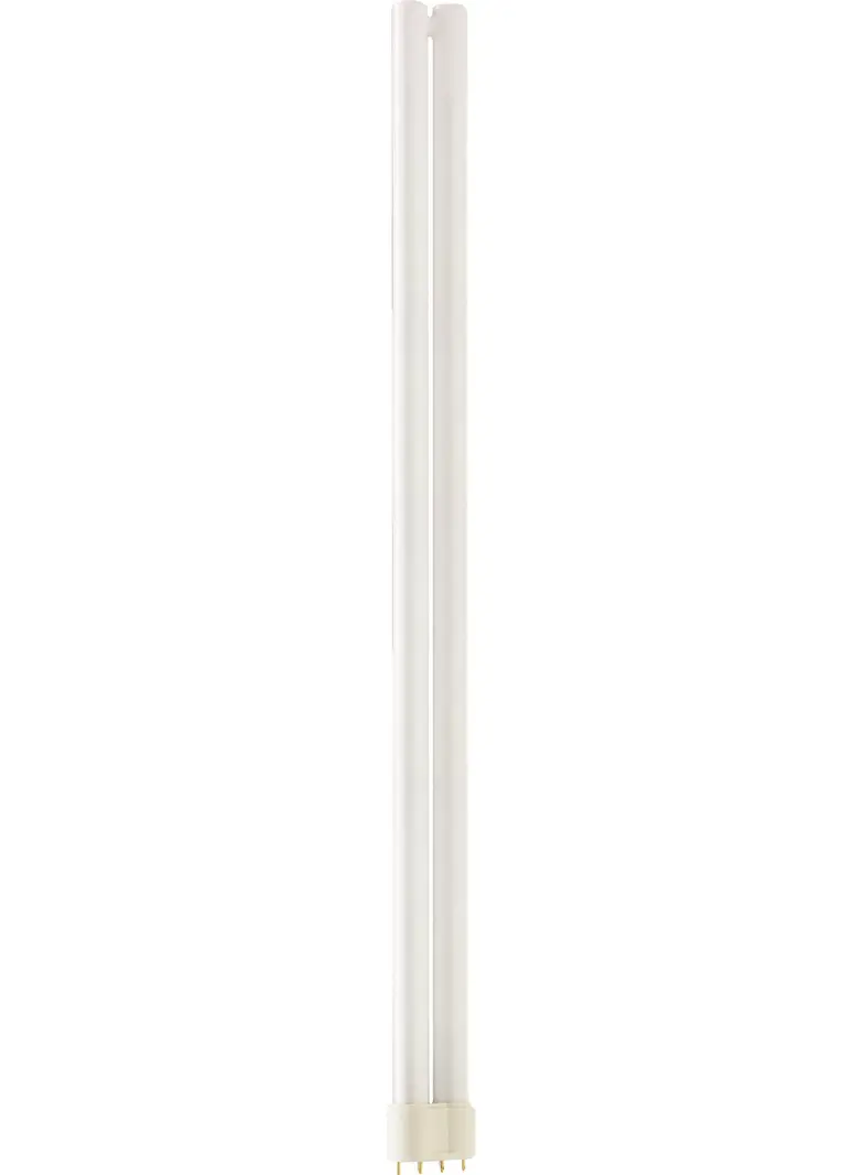 MASTER PL-L 55W/865/4P 1CT/25 Świetlówka