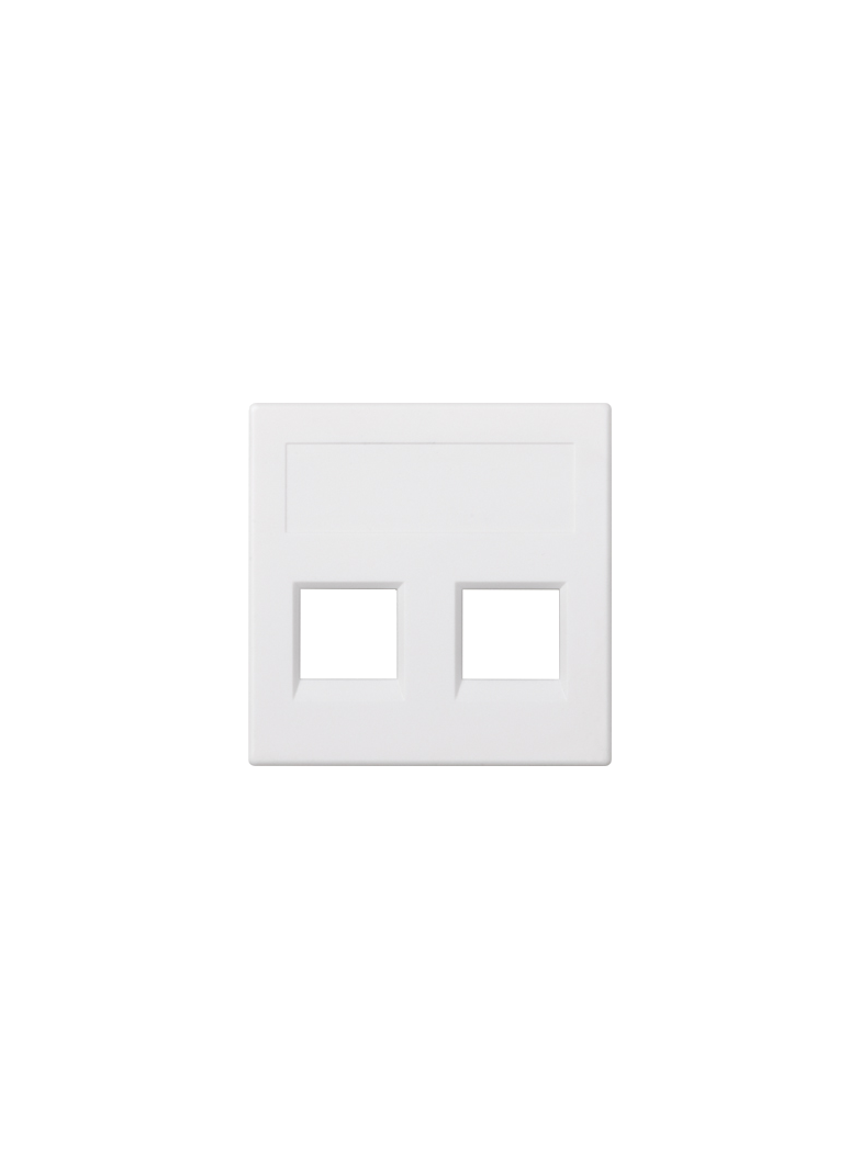 Simon Connect Płytka S500 2x RJ bez osłon PANDUIT czysta biel