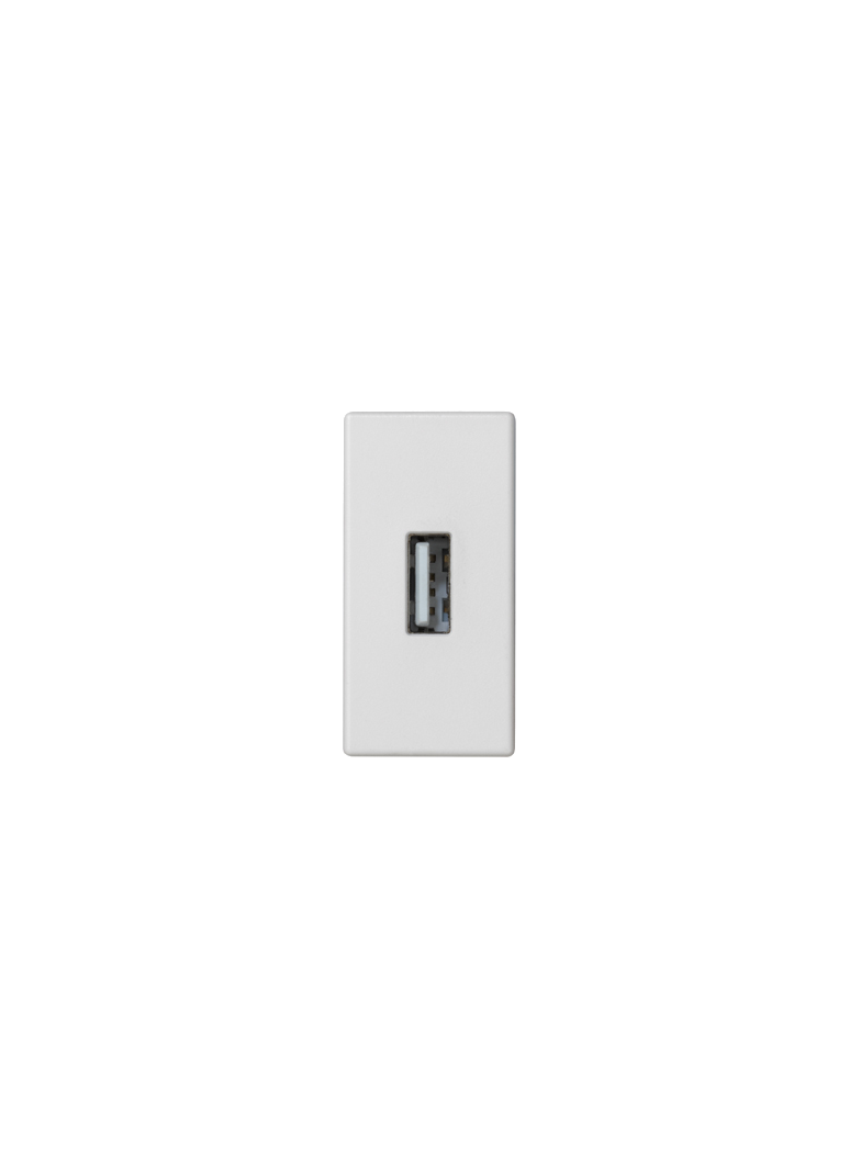 Simon Connect Płytka K45/2 złącza USB typ A żeńskie 225x45mm + gniazdo zaciski śrubowe czysta biel K128B/9 KONTAKT
