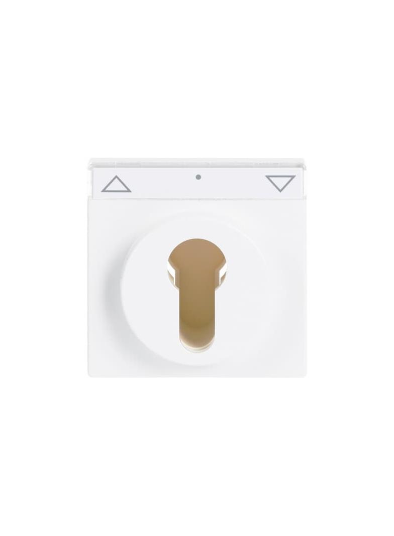 CARAT/FUTURE/SOLO/AXCENT  Pokrywa z polem opisowym. Z nadrukiem Do wyłącznika na klucz i wyłącznika/