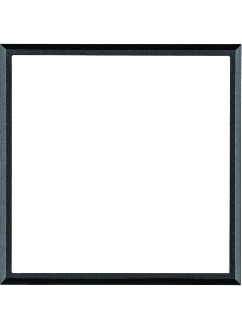 lumina passion Pierścien adaptacyjny do ramki passion, czarny