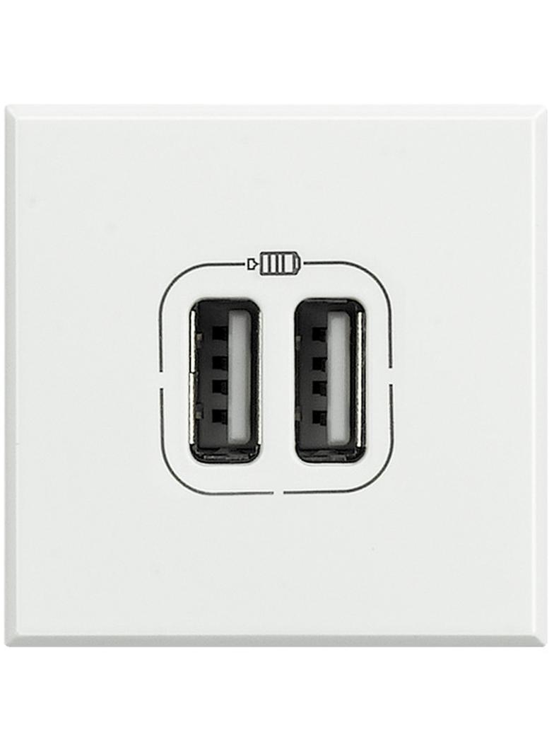 AX:ŁAD.2xUSB 2,4A/5V= 2M BI., Bticino