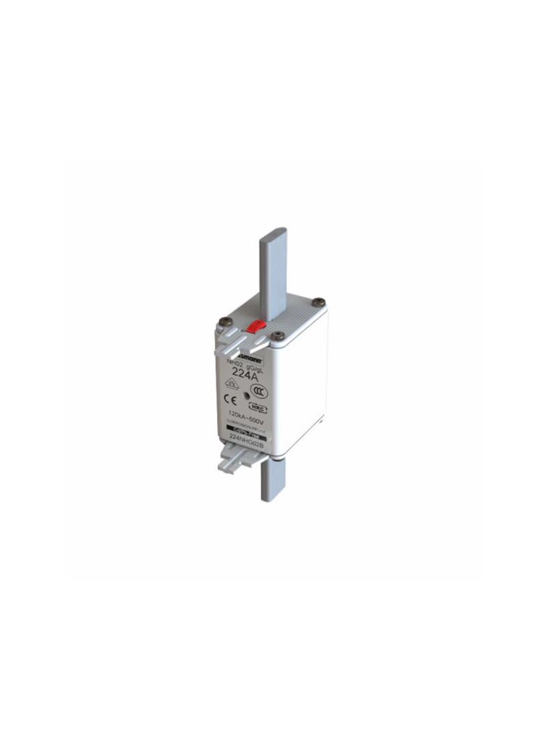 NH FUSE 224A 500V GG/GL SIZE 02 Wkładka NH02 224A 500V GL/GG podwójny wskaźnik 224NHG02B EATON